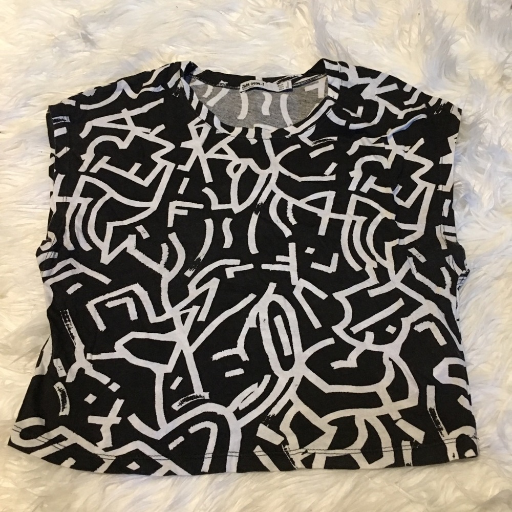 Zara crop top